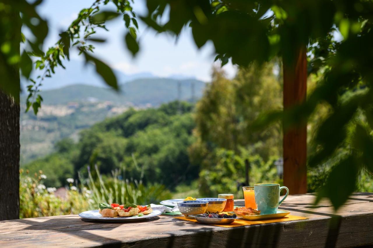 B&B Albachiara Casa Di Campagna Ольястро-Чиленто Экстерьер фото