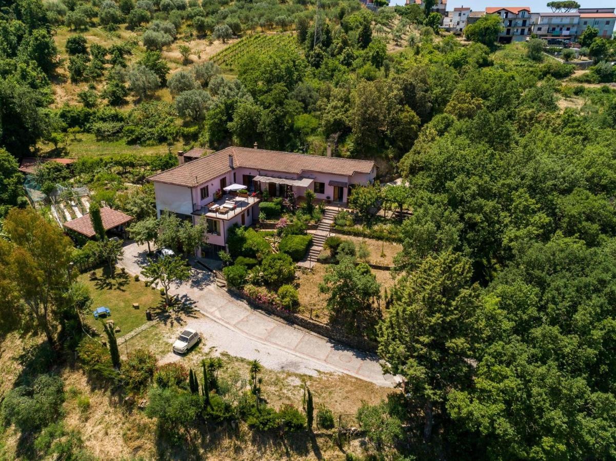 B&B Albachiara Casa Di Campagna Ольястро-Чиленто Экстерьер фото