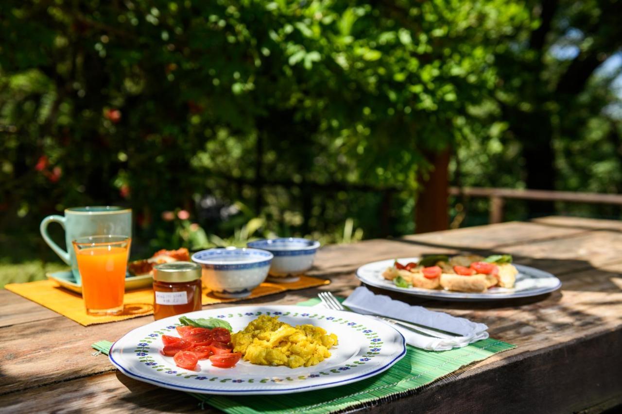B&B Albachiara Casa Di Campagna Ольястро-Чиленто Экстерьер фото